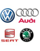 AUDI / VW / SKODA / SEAT diagnostikos įranga